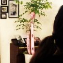 우진종합상사 이미지