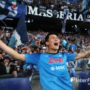 팀(Team) 메디컬 이미지