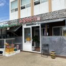 소섬바라기 네이버블로그