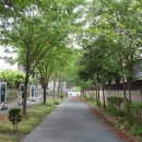 대전수미초등학교 이미지