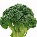 브로콜리 찌기 데치기 브로콜리 세척 식초 이미지