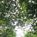 태평4동공영주차장 이미지