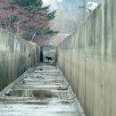 충남야생동물구조센터 | 야생동물의 눈으로 본 구조센터 이야기