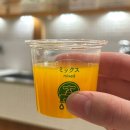 1970 | [마쓰야마 여행] 마쓰야마 도고온천 감귤주스 카페 에히메의 식탁 1970 후기, 가격, 가는 법🍊