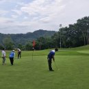 대영힐스CC 이미지