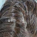 행복별 주식회사 네이버블로그
