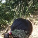 우성유치원 이미지