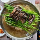 유명산둥지 | 유명산맛집 명산쉼터가든에서 능이백숙 먹으면서 총동문산악회 뒤풀이 했습니다