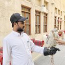 아이보리매직 이미지