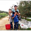 건이네 농장 이미지