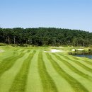 샌드파인 골프클럽 이미지