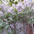 다복한밥상 | 대전 내동 맑은아침아파트 중개후기