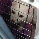 로하스일산병원 이미지