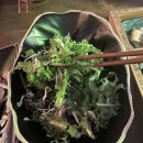 미사양식당 | [미사 양갈비 하남미사역맛집] 에헴 양식당 분위기 맛 방문 후기 리뷰 주차