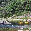 왕피리들꽃하우스 이미지