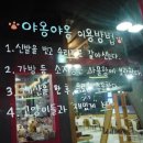 야옹야옹 캣카페 이미지