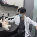 티어하임 동물병원 이미지