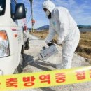 동림축산 이미지