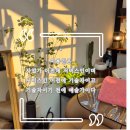 헤어살롱1021 이미지