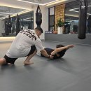 알파복싱 이미지