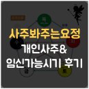 카톡사주 추천 사주봐주는요정 개인사주 및 임신가능시기 후기