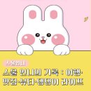 Pet.J | 스물 언니의 기록 : 여행·맛집·뷰티·댕댕이 라이프