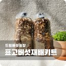 대야어린이집 | 드림버섯농장 표고버섯재배키트, 4살 아이와 함께한 후기