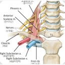 길동한의원 이미지