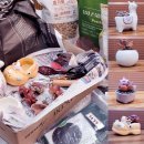 애플미용재료 | 귀여운 화분에 다육이 분갈이 🌿 준비물부터 완성까지 솔직 후기