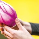 최고의 밥상 이미지