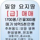 밀양 중심지땅 급급매매,밀양다용도부지매매 이미지