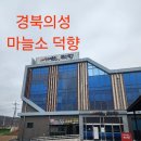 의성마늘소덕향 이미지