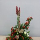 동양화원 이미지