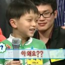 술미