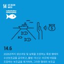 세부수산 네이버블로그
