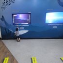 장생포고래로 | 울산 장생포 고래생태체험관 후기