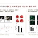 안성경희365한의원 네이버블로그