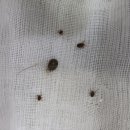 나아라 동물병원 이미지