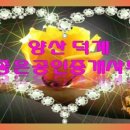 경보부동산중개사무소 이미지