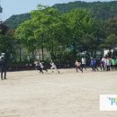 동보초등학교 | 초등학교 운동회 진행 후기~~
