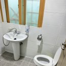 샬롬민박 | 포항 반려견 동반 가능 가성비 숙소 샬롬스테이 솔직후기