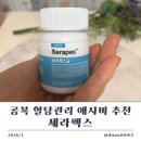 펙스 | 식욕억제 애사비추천 세라펙스 일주일 후기 솔직리뷰