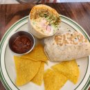 무초타코 이미지