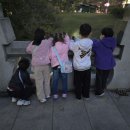 고고파티 이미지