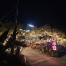 뉴소나무집 이미지