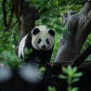 실속코스 이미지