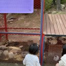 사상근린공원 이미지