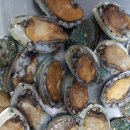 회진한의원 이미지