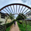 임항선그린웨이(북마산역) 이미지