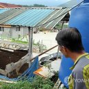 김영도농장 이미지